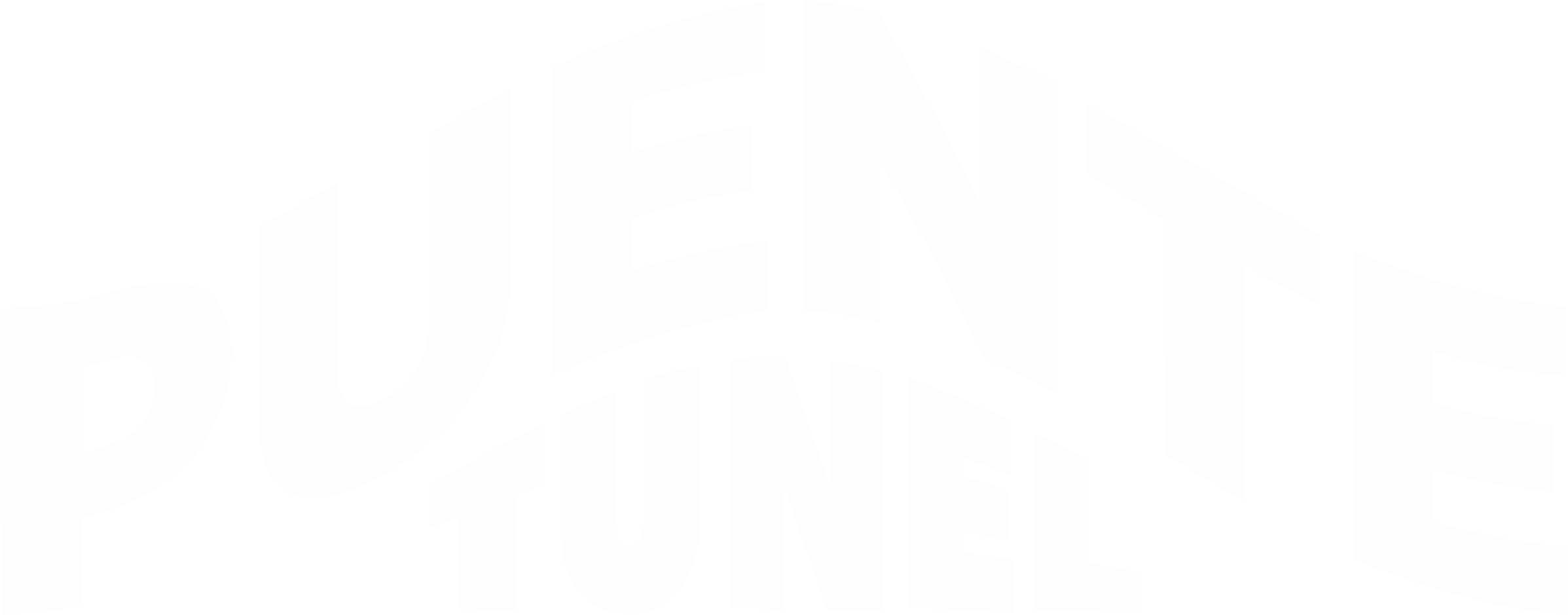 Puente y Túnel Elevado La Pista